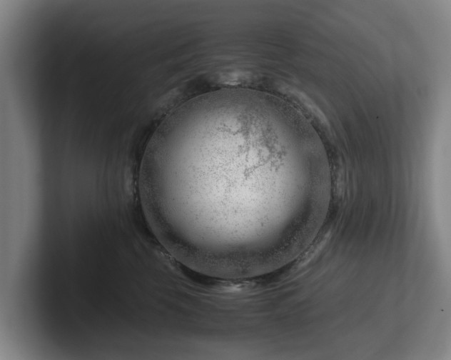 X0000101960569200807251157