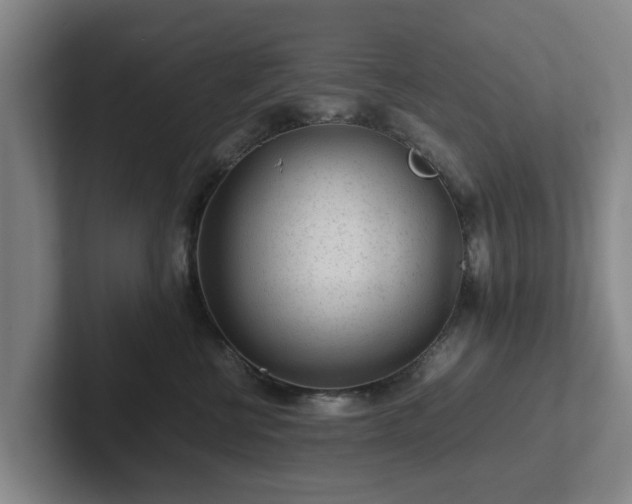 X0000101960570200807251157