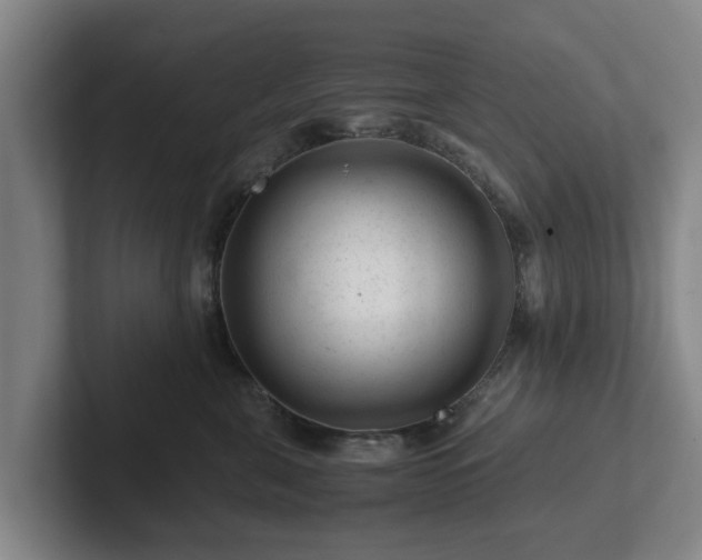 X0000101960571200807251157