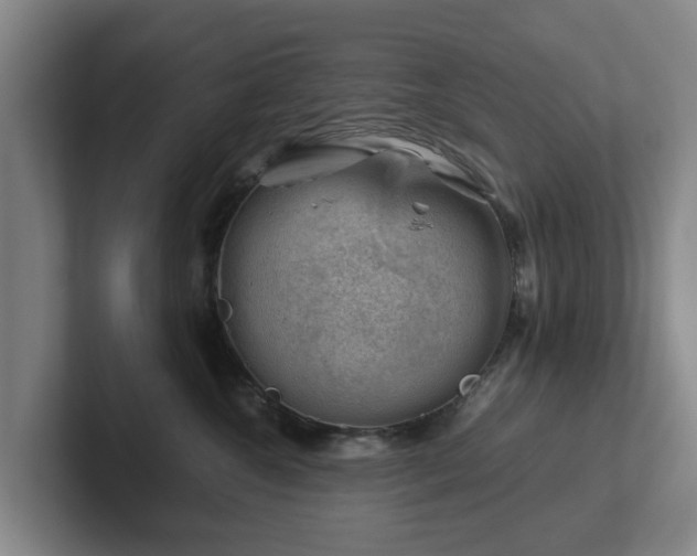 X0000101960572200807251157