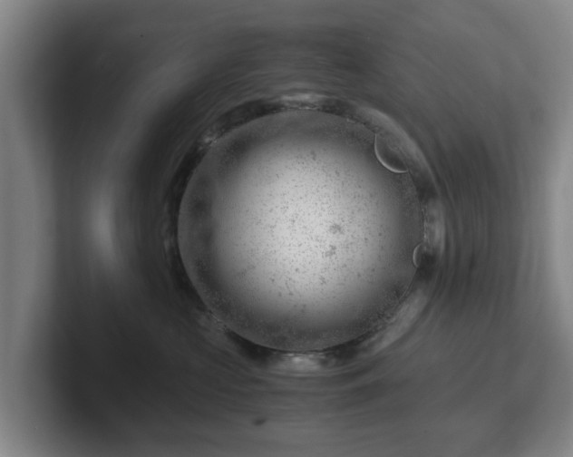 X0000101960573200807251157