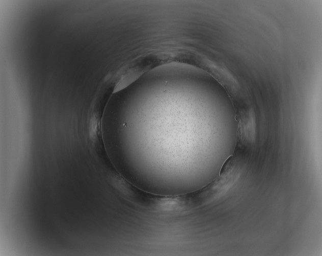 X0000101960574200807251157