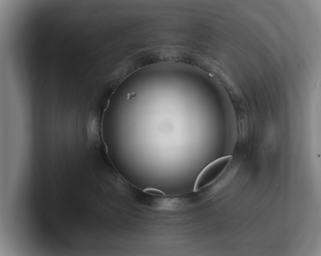 X0000101960575200807251157