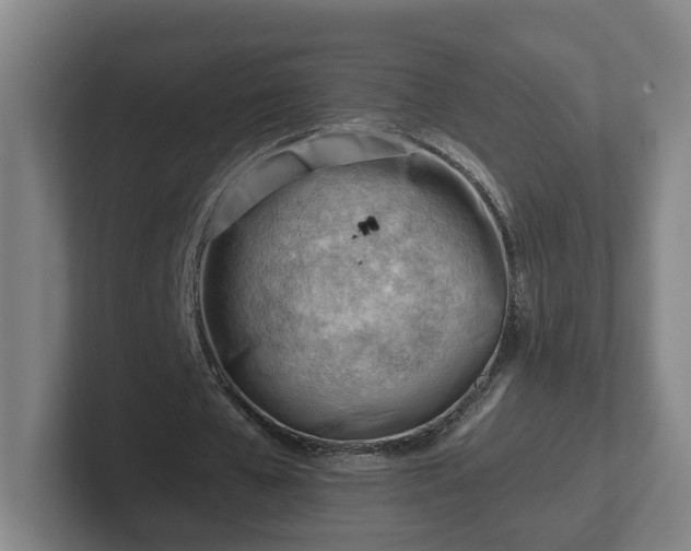 X0000101960577200807251156