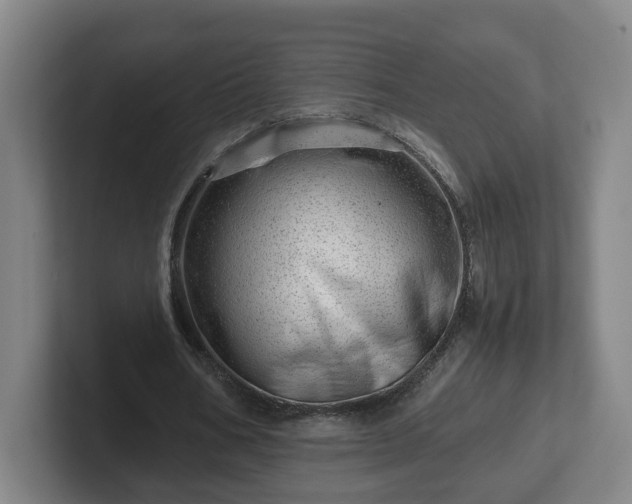 X0000101960578200807251156