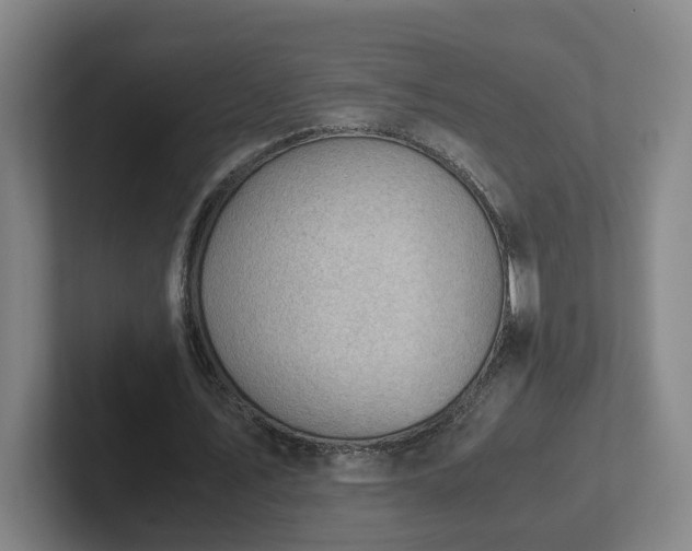 X0000101960579200807251156