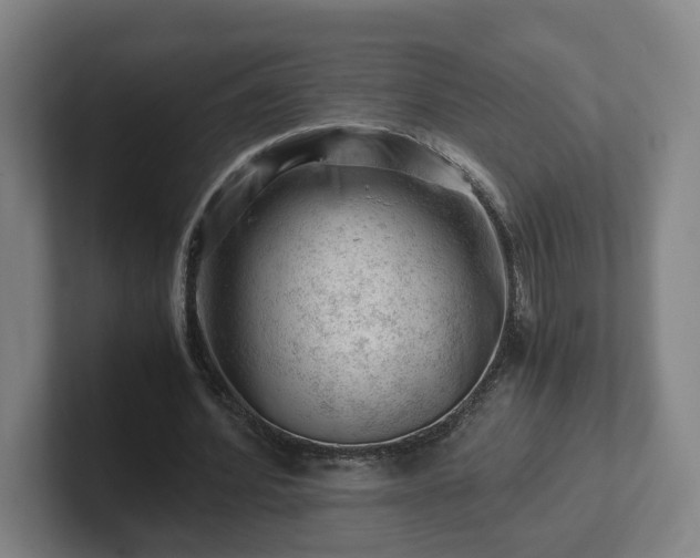 X0000101960580200807251156