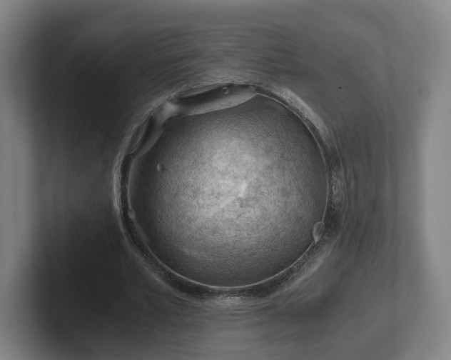 X0000101960581200807251156