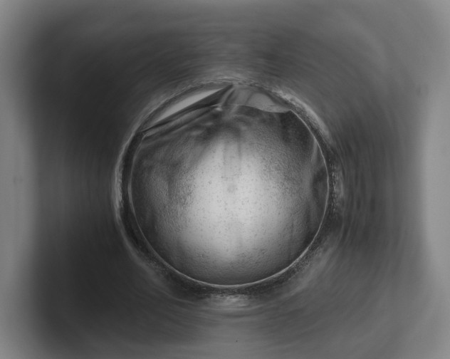 X0000101960582200807251156