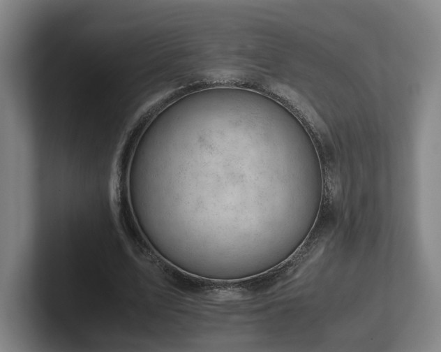 X0000101960583200807251156