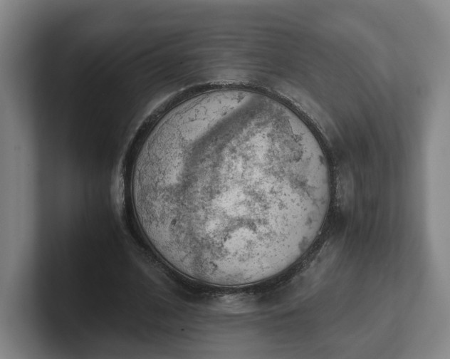 X0000101960584200807251156