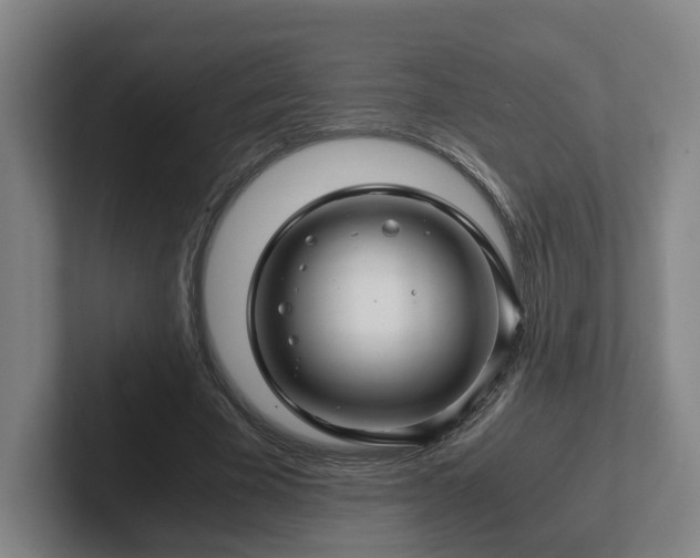 X0000101960585200807251156