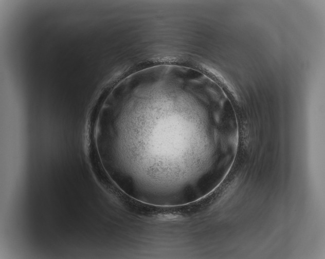 X0000101960586200807251156