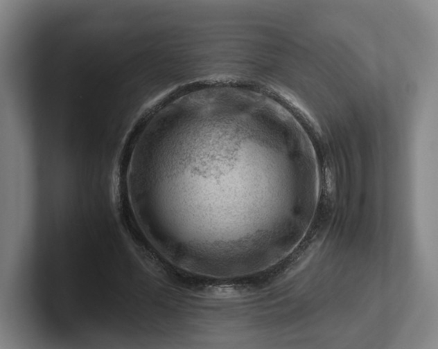 X0000101960588200807251156