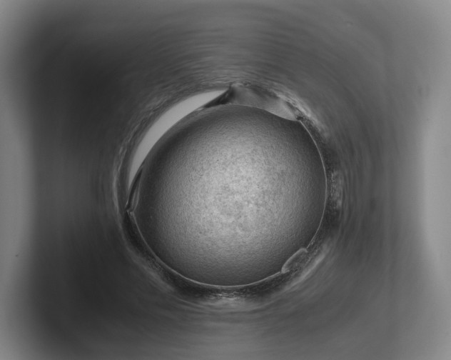 X0000101960589200807251156