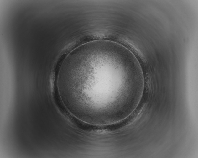 X0000101960590200807251156