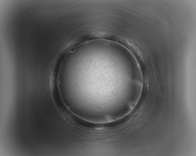 X0000101960591200807251156