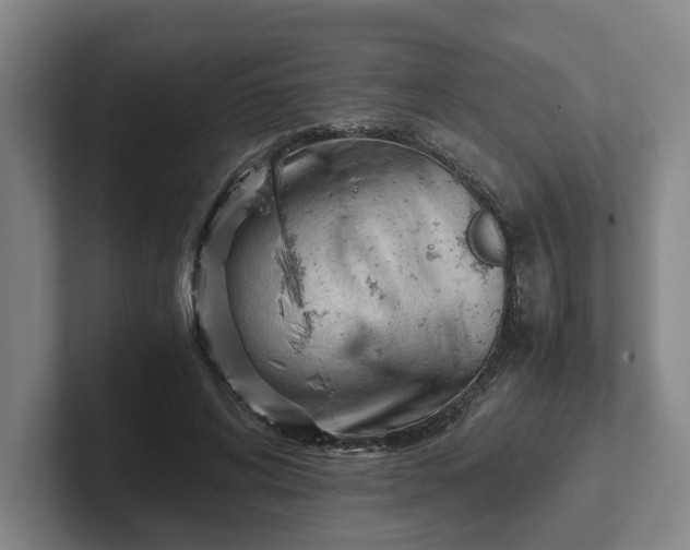 X0000101960592200807251156