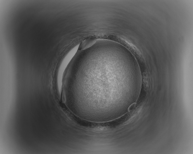 X0000101960593200807251156