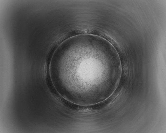 X0000101960594200807251156