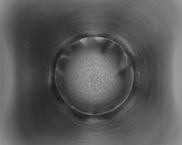 X0000101960596200807251156