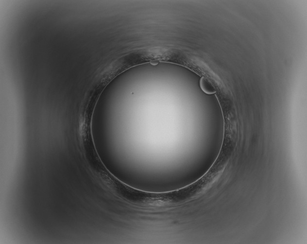 X0000101960597200807251156