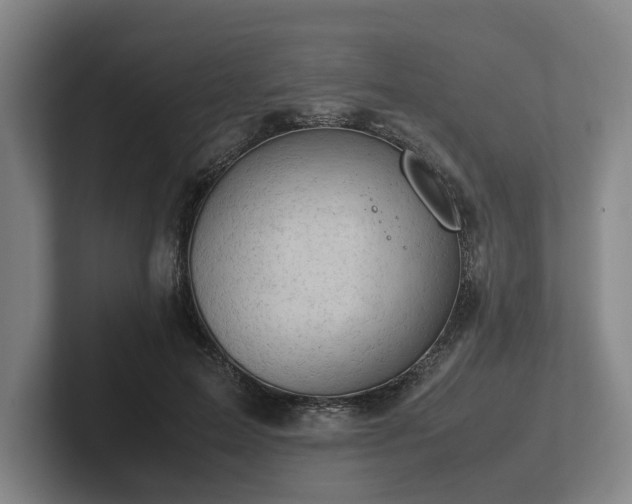 X0000101960599200807251156