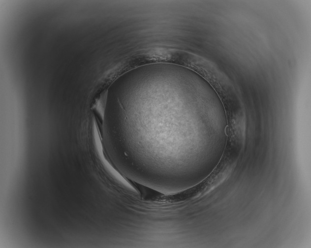 X0000101960600200807251156