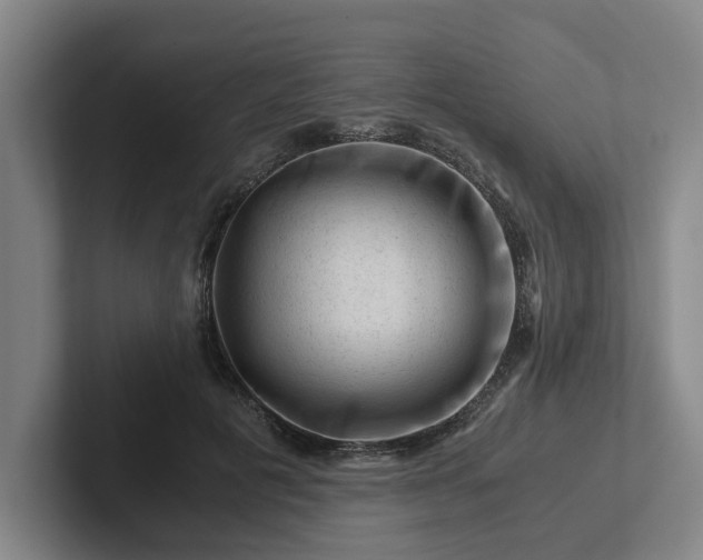 X0000101960601200807251156