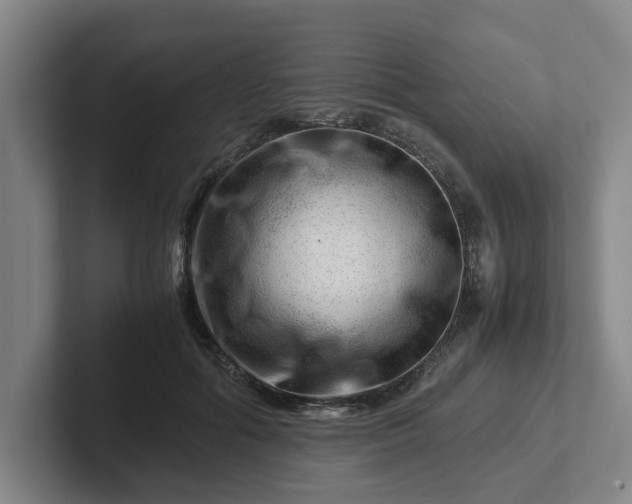 X0000101960602200807251156