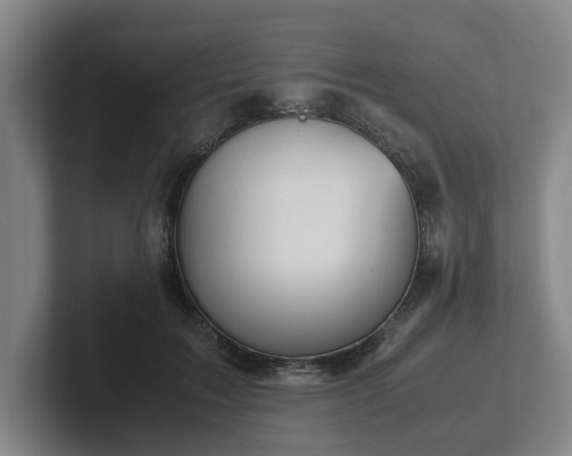 X0000101960603200807251156