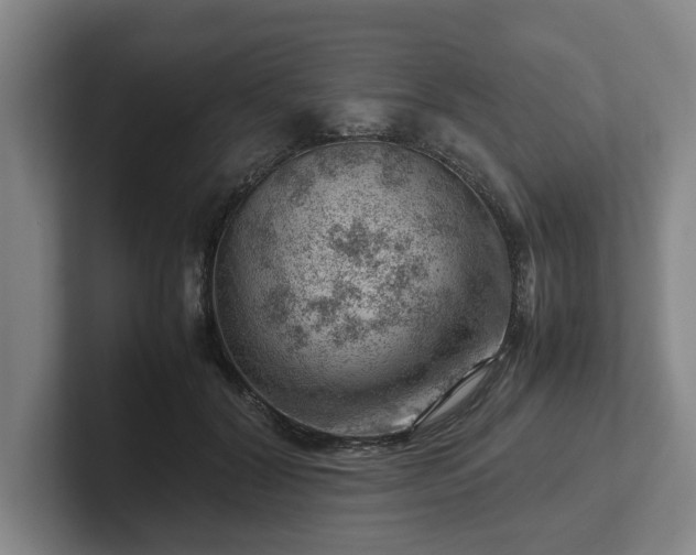 X0000101960604200807251156