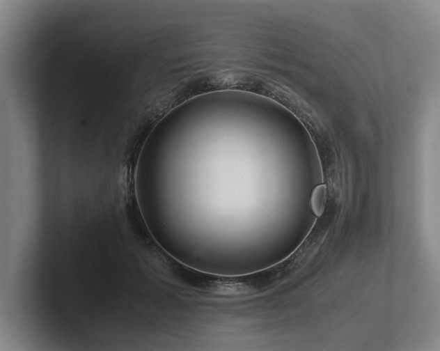 X0000101960605200807251156