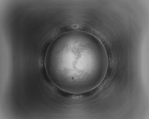 X0000101960606200807251156