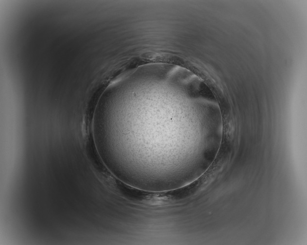 X0000101960607200807251156