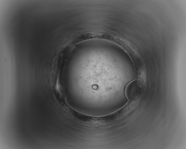 X0000101960608200807251156