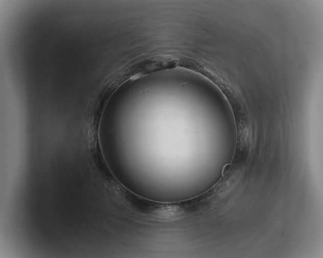 X0000101960609200807251156