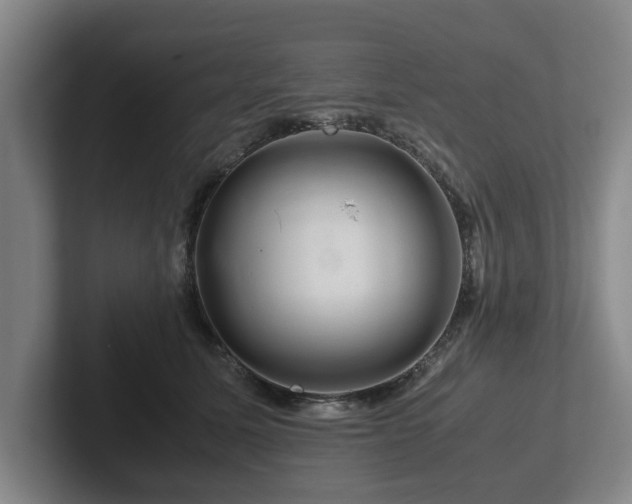 X0000101960611200807251156