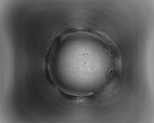 X0000101960612200807251156