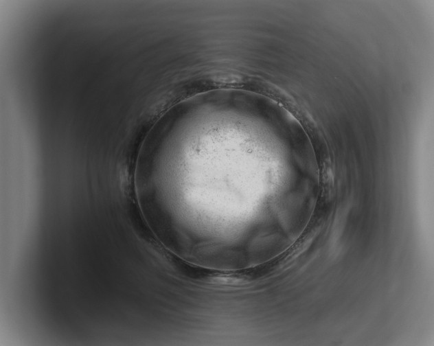 X0000101960614200807251156