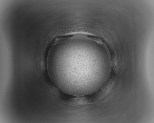 X0000101960615200807251156