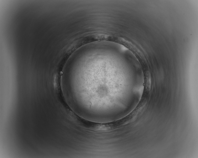 X0000101960616200807251156