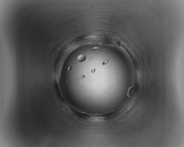 X0000101960617200807251156