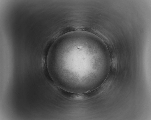 X0000101960618200807251156