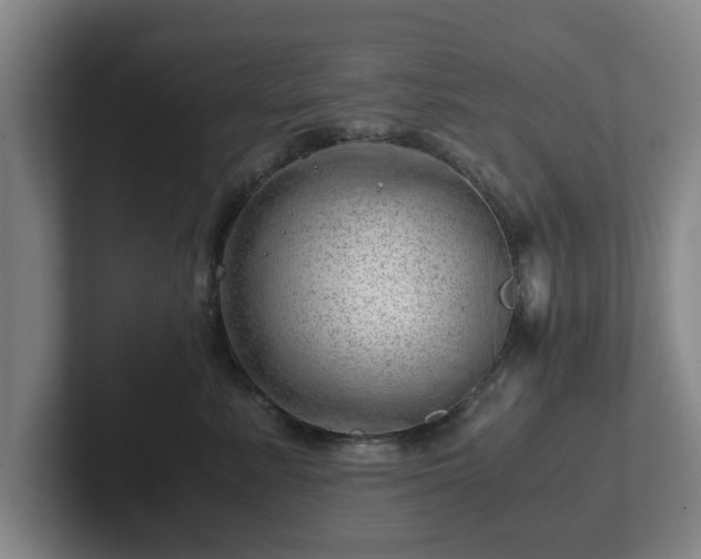 X0000101960619200807251156