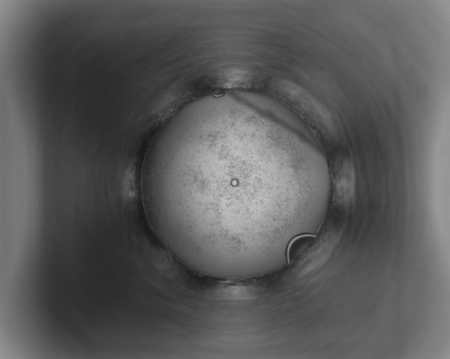 X0000101960620200807251156