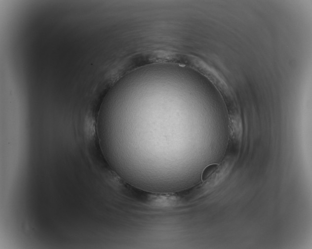 X0000101960621200807251156