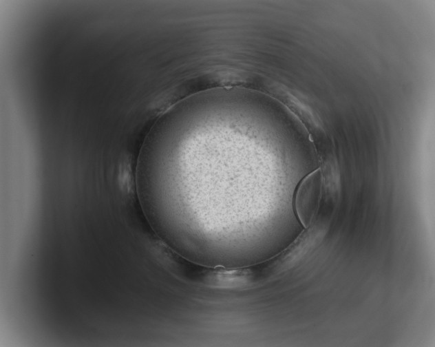 X0000101960622200807251156