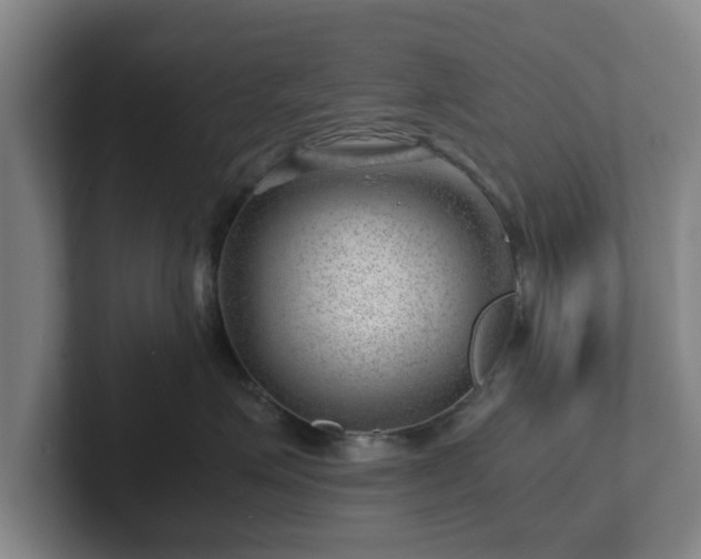 X0000101960623200807251156