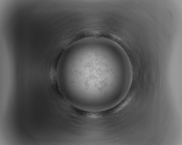 X0000101960624200807251156